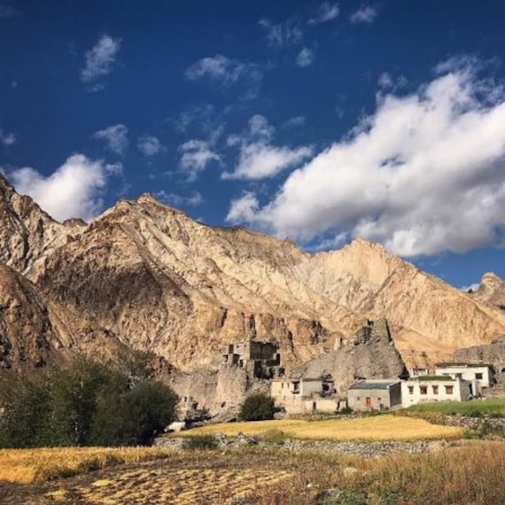 Trekking in Markha Valley-5